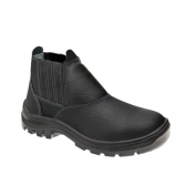 Bota