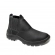 Bota