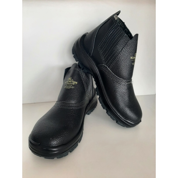 Bota